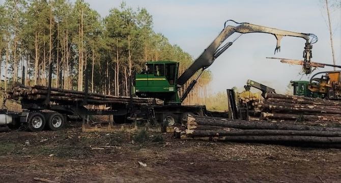 Logging equipment with stacks of logs piled up